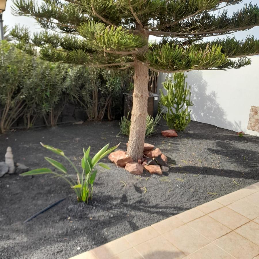 Villa Julima بلايا بلانكا المظهر الخارجي الصورة